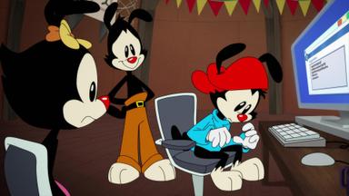 Poster episodio Animaniacs 2x4