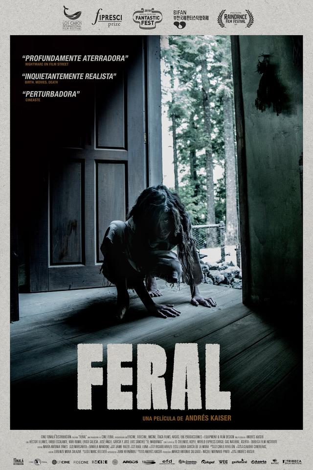 Poster Feral
