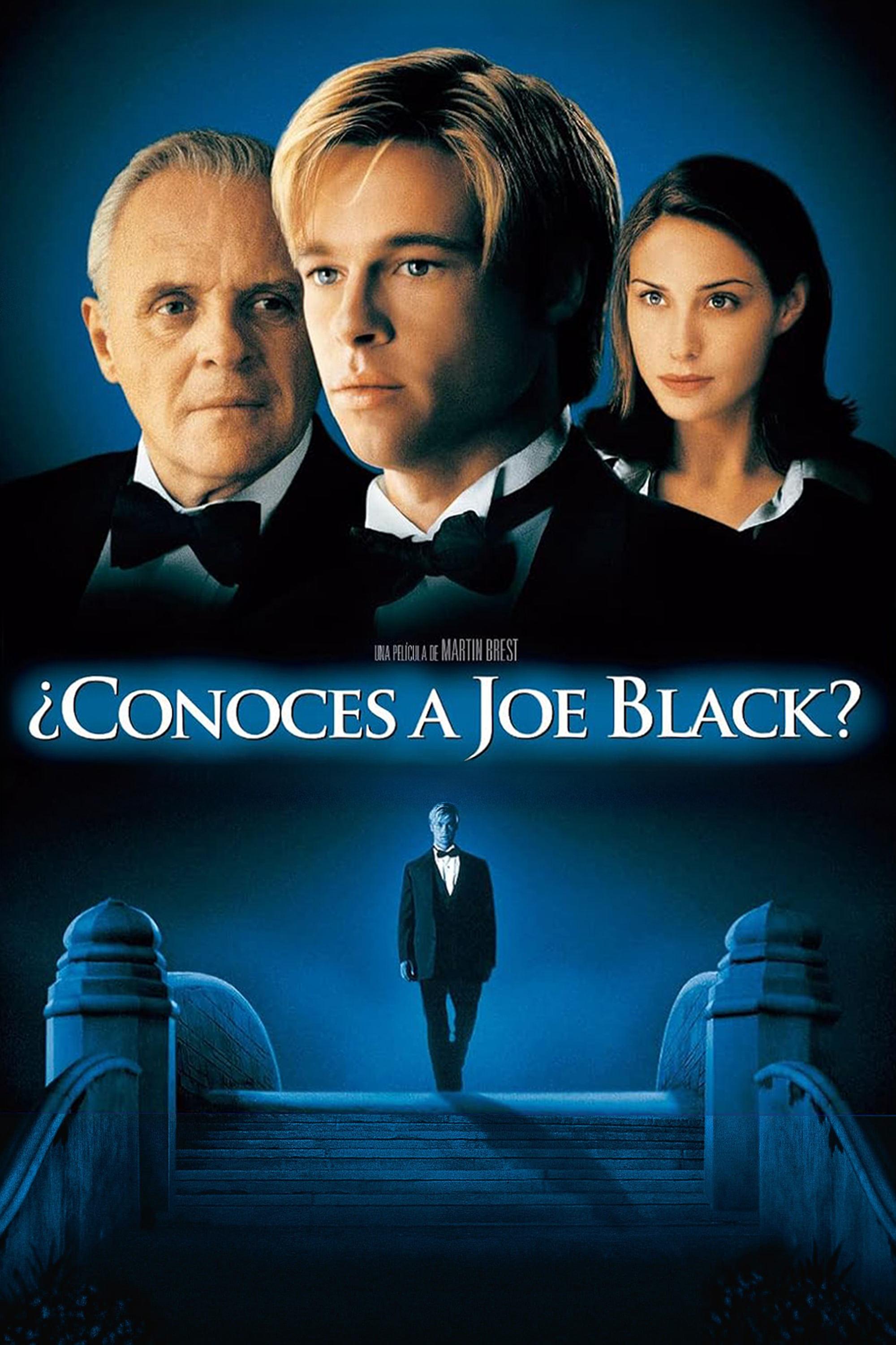 Poster ¿Conoces a Joe Black?