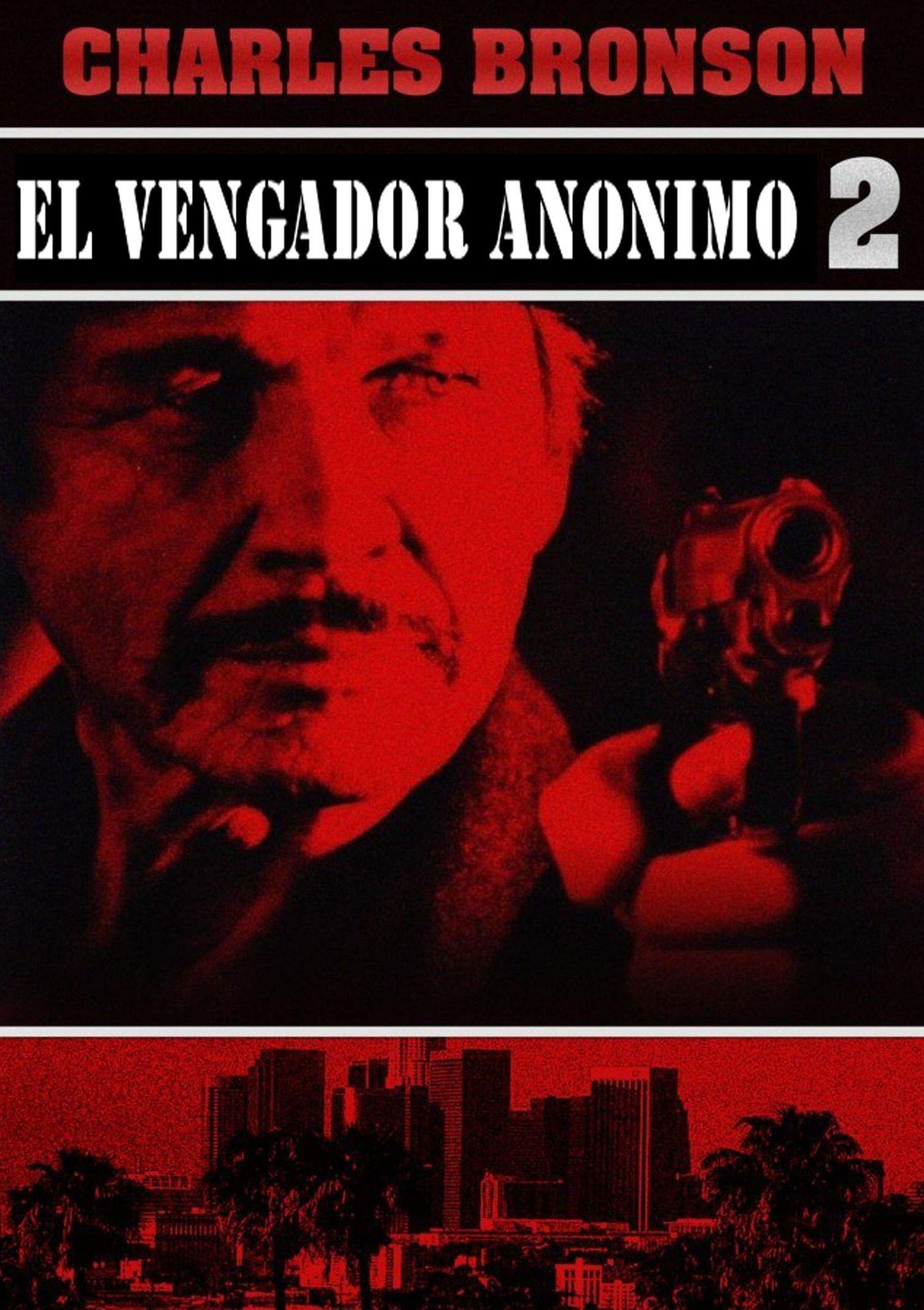 Poster El vengador anónimo 2