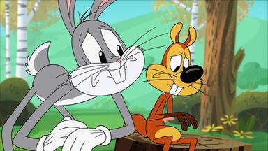 Poster episodio New Looney Tunes 1x9