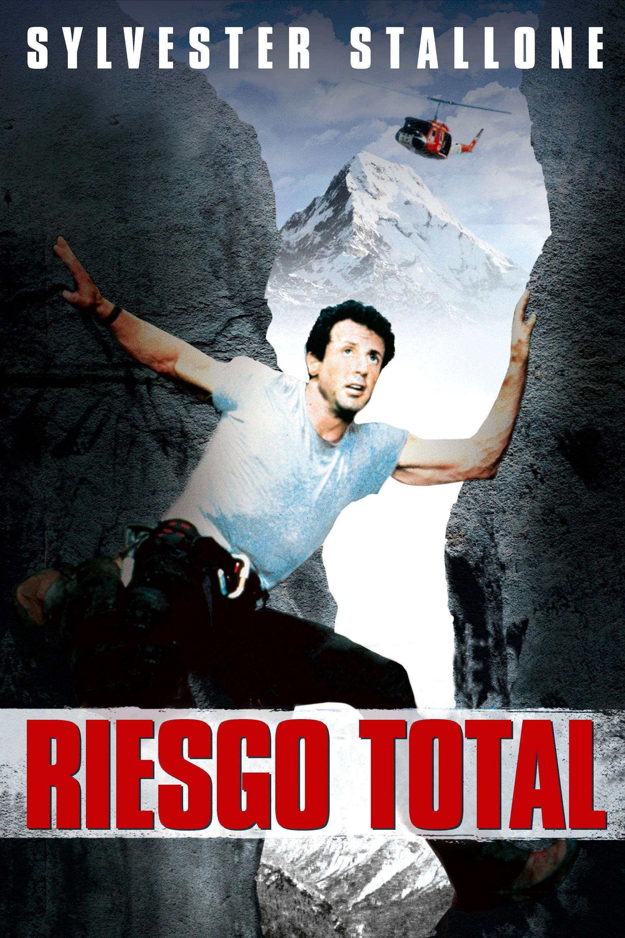 Poster Riesgo Total