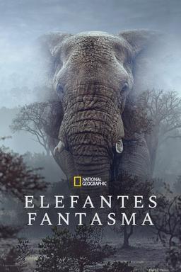 Poster Elefantes fantasmas