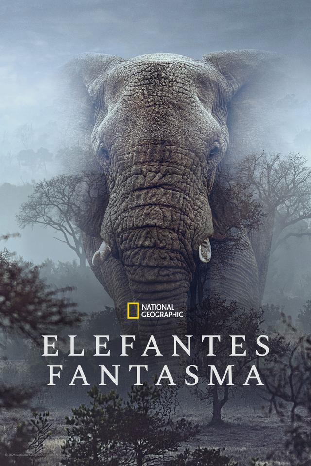 Poster Elefantes fantasmas