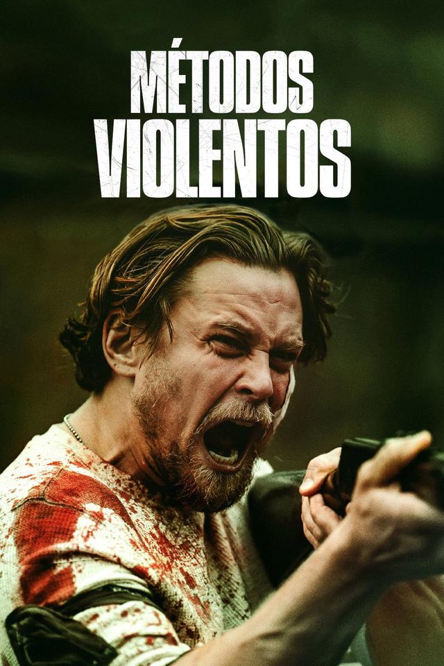 Poster Violent Ends