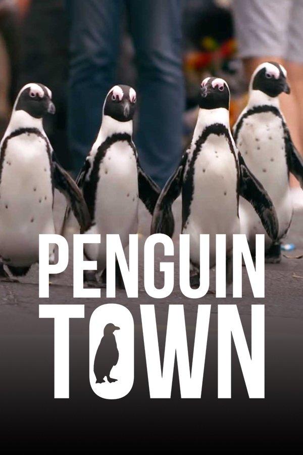 Poster Colonia Pingüino