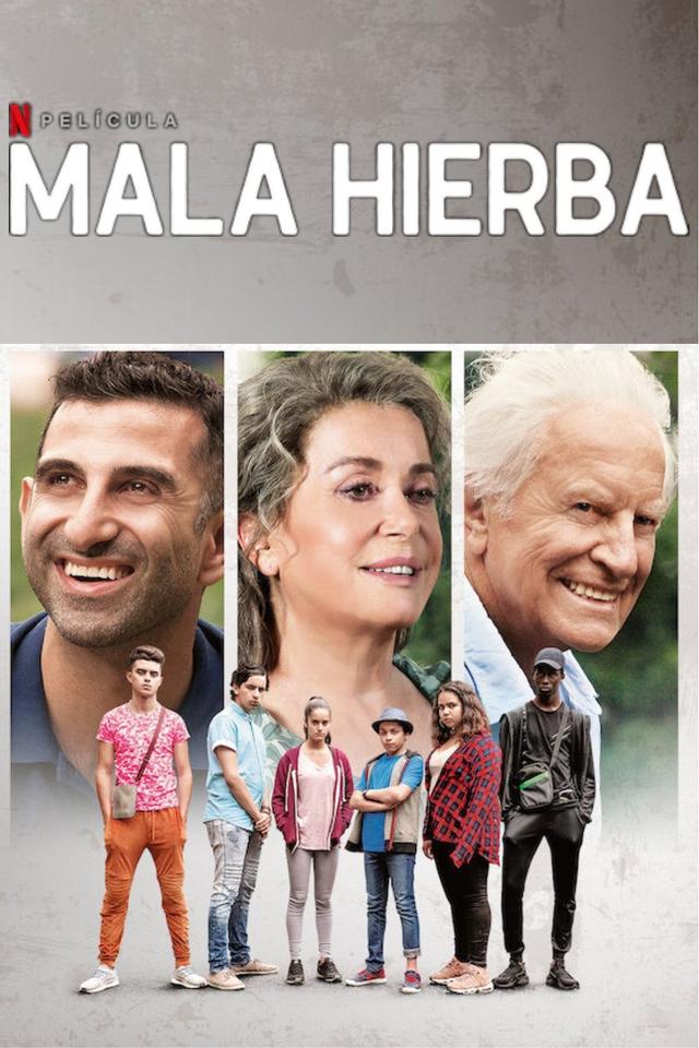 Poster Mala hierba
