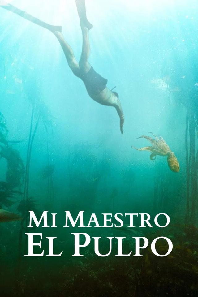 Poster Mi maestro el pulpo