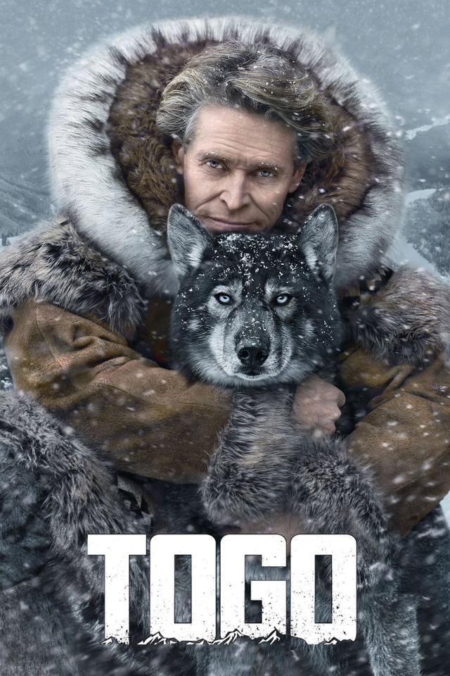 Poster Togo: La verdadera historia