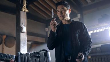 Poster episodio Agente Butterfly 1x6