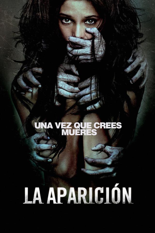 Poster La aparicion