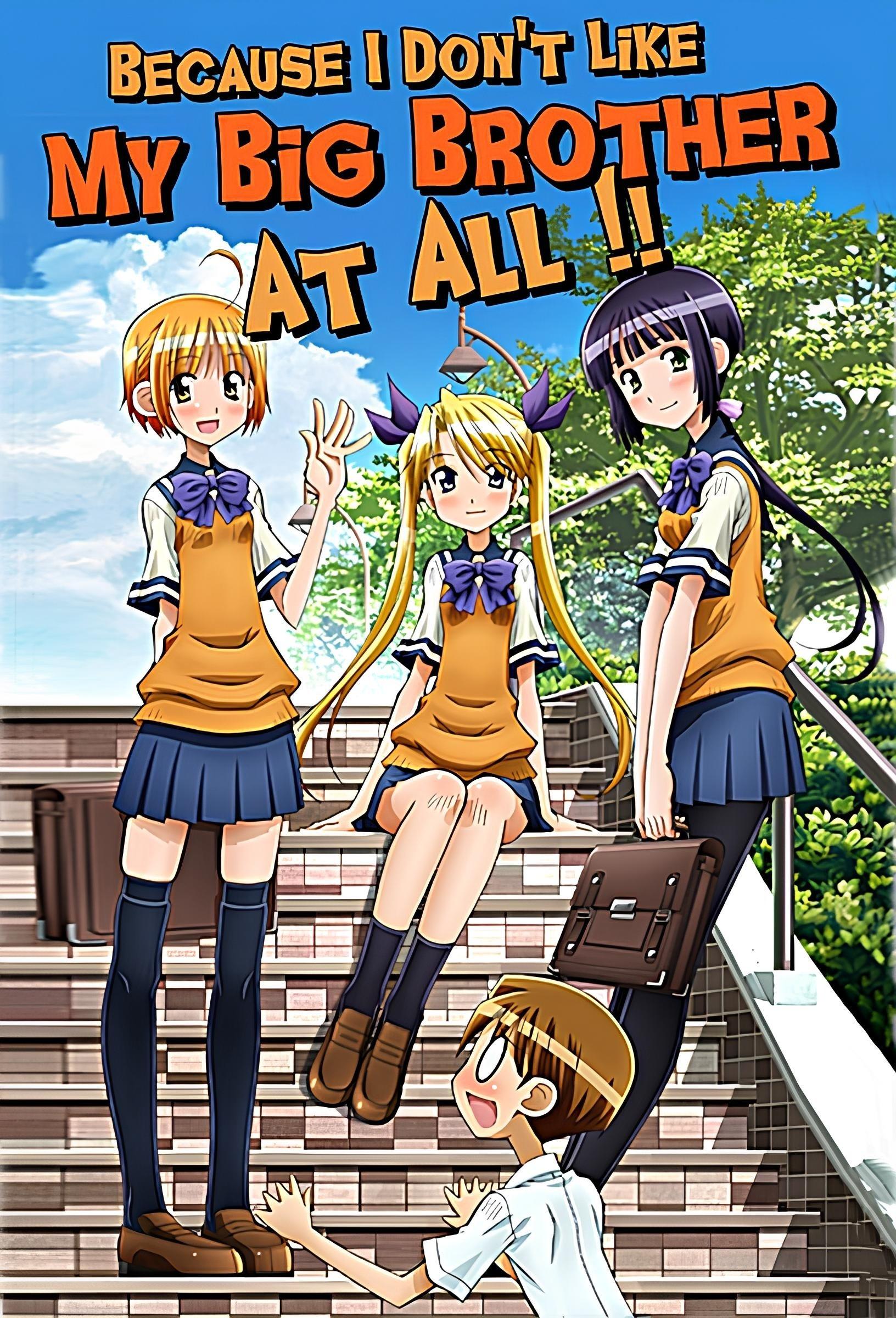 Poster Definitivamente. ¡No me gusta mi hermano para nada!