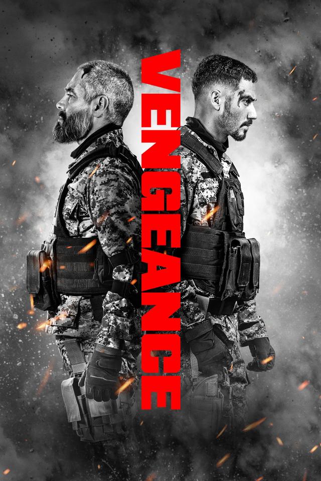 Poster Venganza