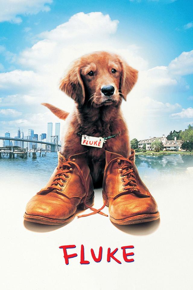 Poster Mi amigo Fluke
