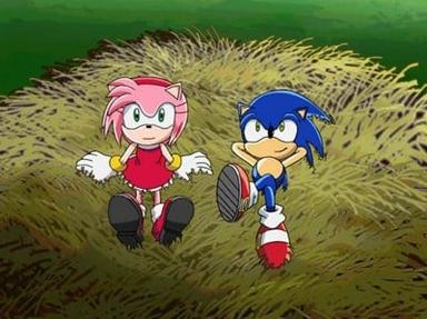 Poster episodio Sonic X 1x24