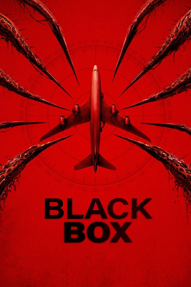 Poster Black Box (Flight 298)