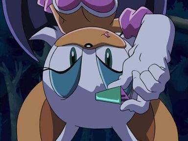 Poster episodio Sonic X 1x11