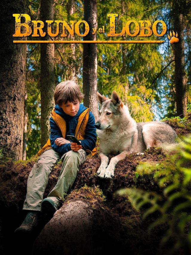Poster Taiki