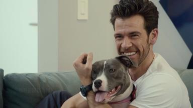 Poster episodio Adiestramiento canino 1x1