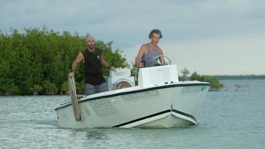 Poster episodio Bloodline 1x7