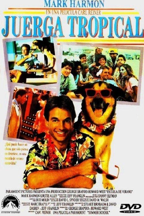 Poster Escuela de verano (Summer School)