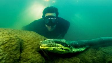 Poster episodio David Blaine Do Not Attempt 1x1