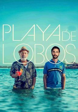 Poster Playa de lobos