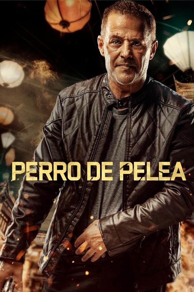 Poster Perro de pelea