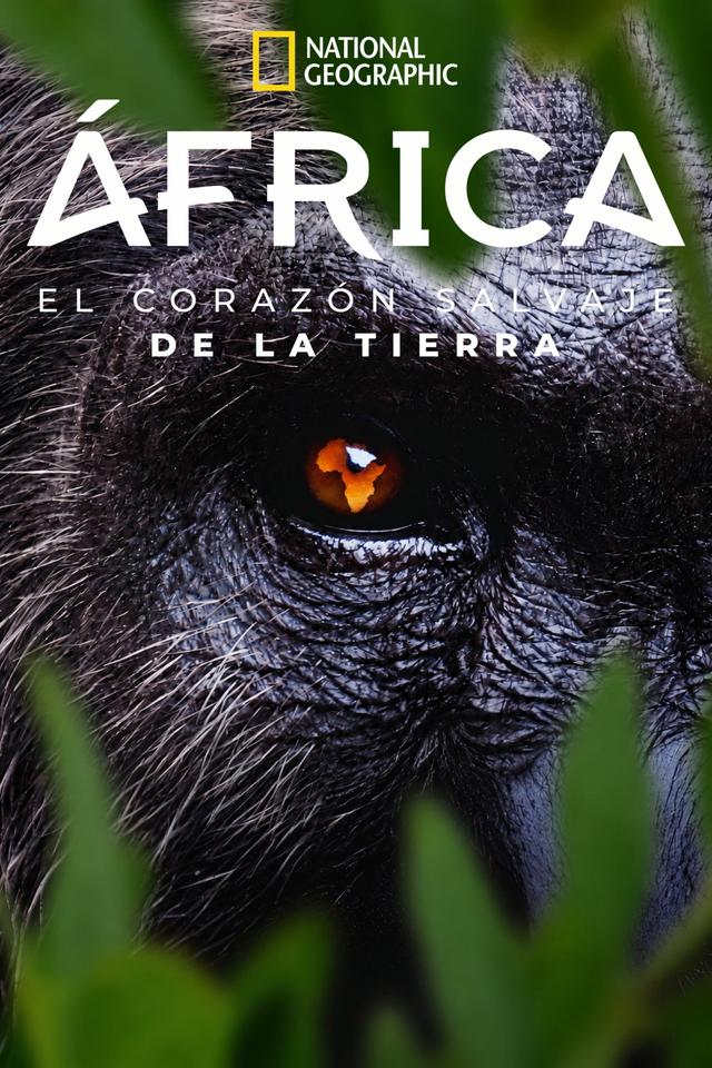 Poster Africa: El corazón de la Tierra