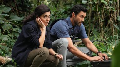 Poster episodio NCIS: Hawaiʻi 1x13