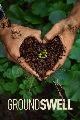 Poster Groundswell
