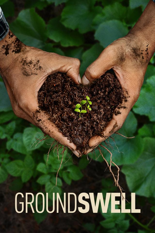 Poster Groundswell