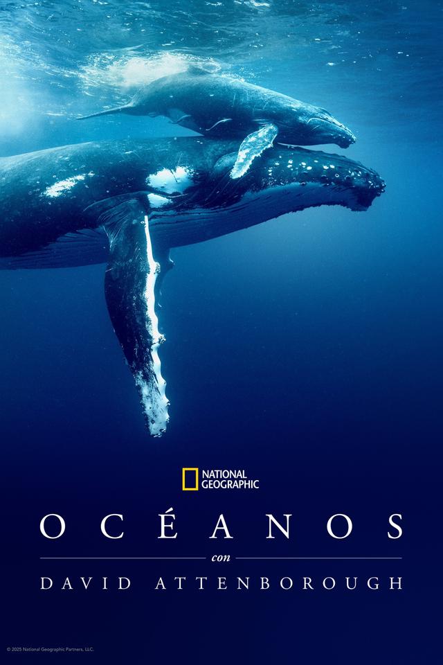 Poster Océanos con David Attenborough