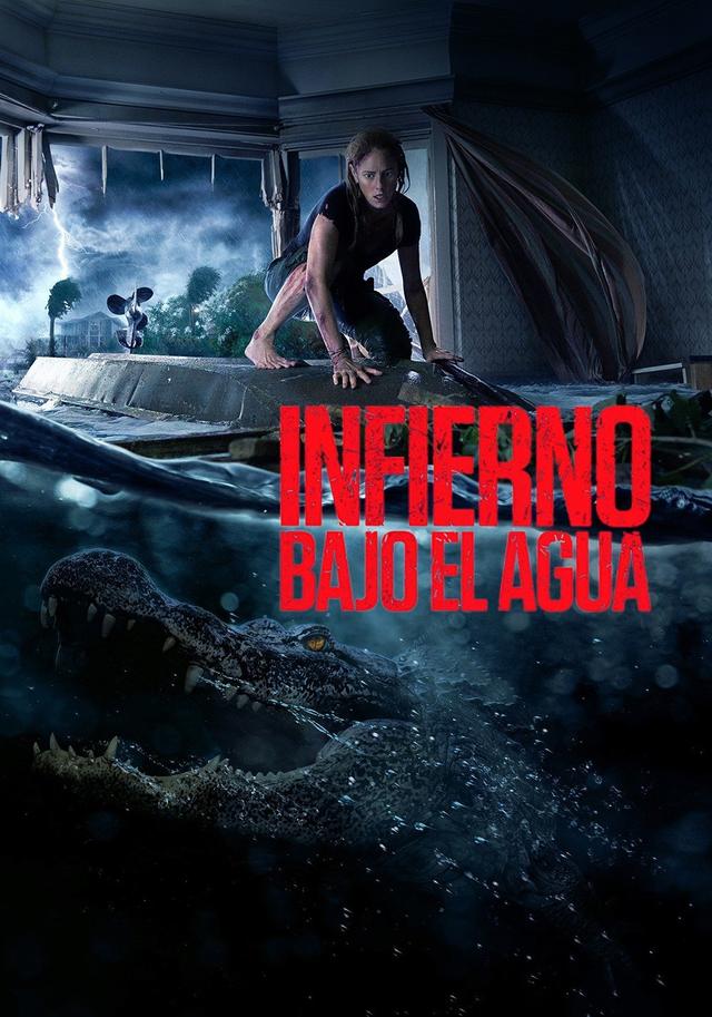 Poster Infierno en la tormenta