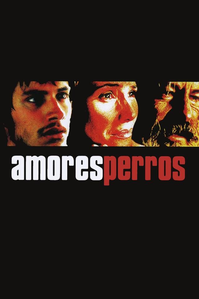 Poster Amores perros