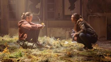 Poster episodio The Last of Us 1x2