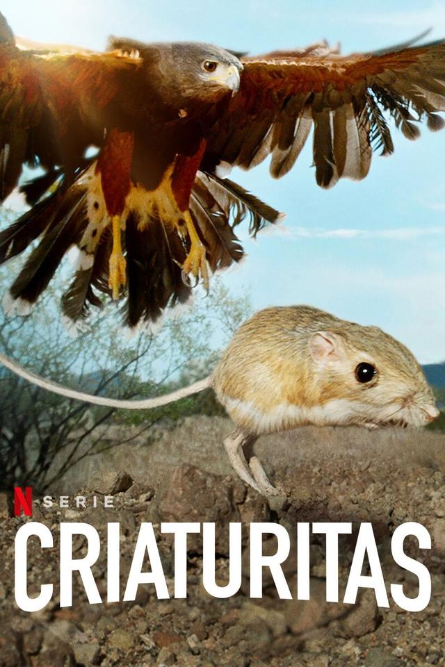 Poster Fauna Minúscula