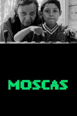 Poster Moscas