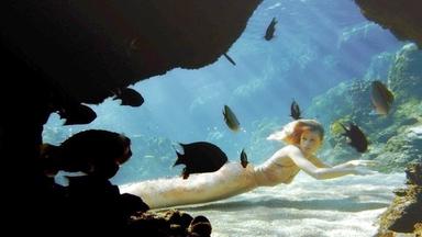 Poster episodio Mako Mermaids: An H2O Adventure 1x3